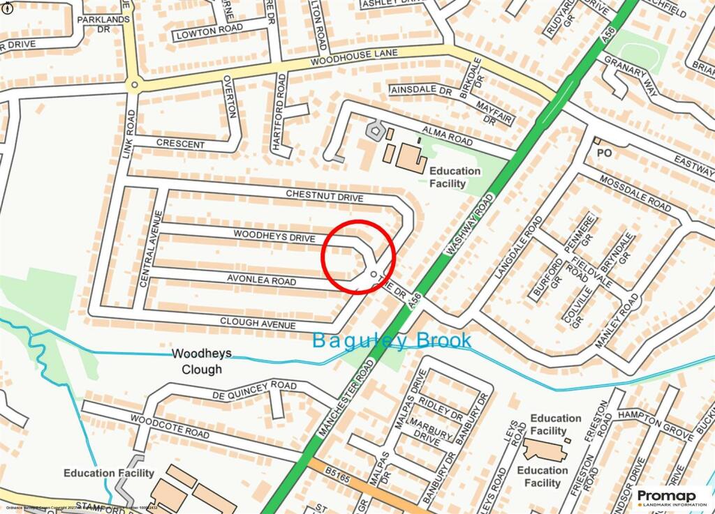 Street Plan.jpg