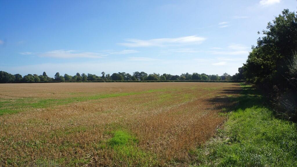 Agricultural land.