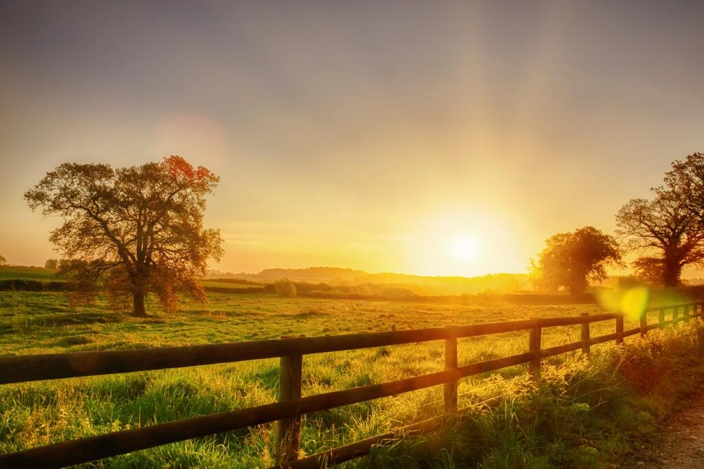 Norfolk Countryside