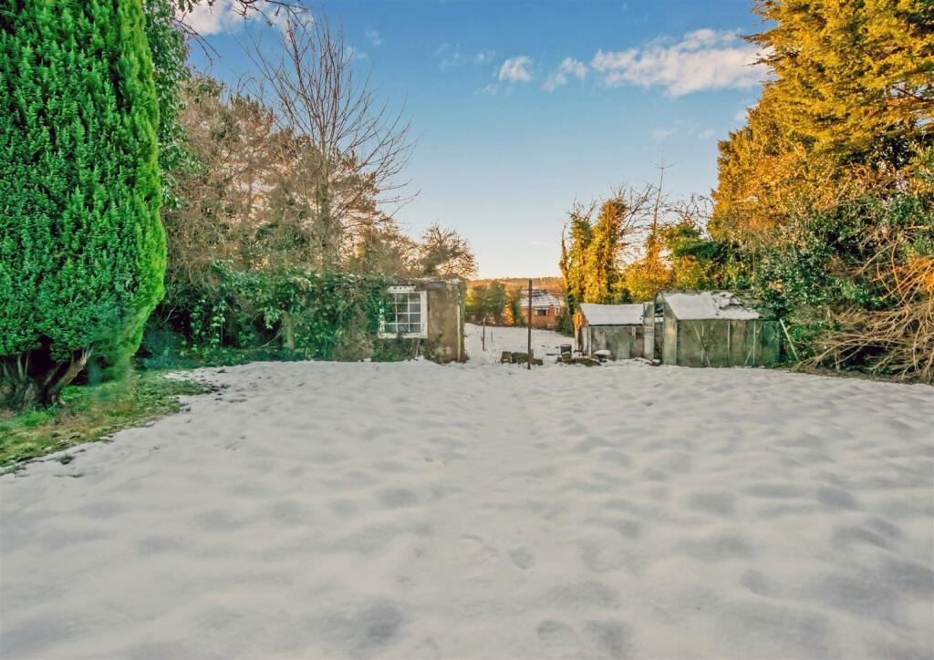 Gardens: Rear