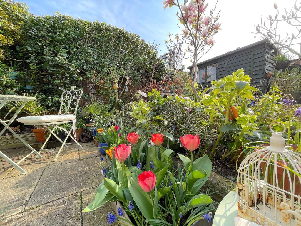 Garden (4)