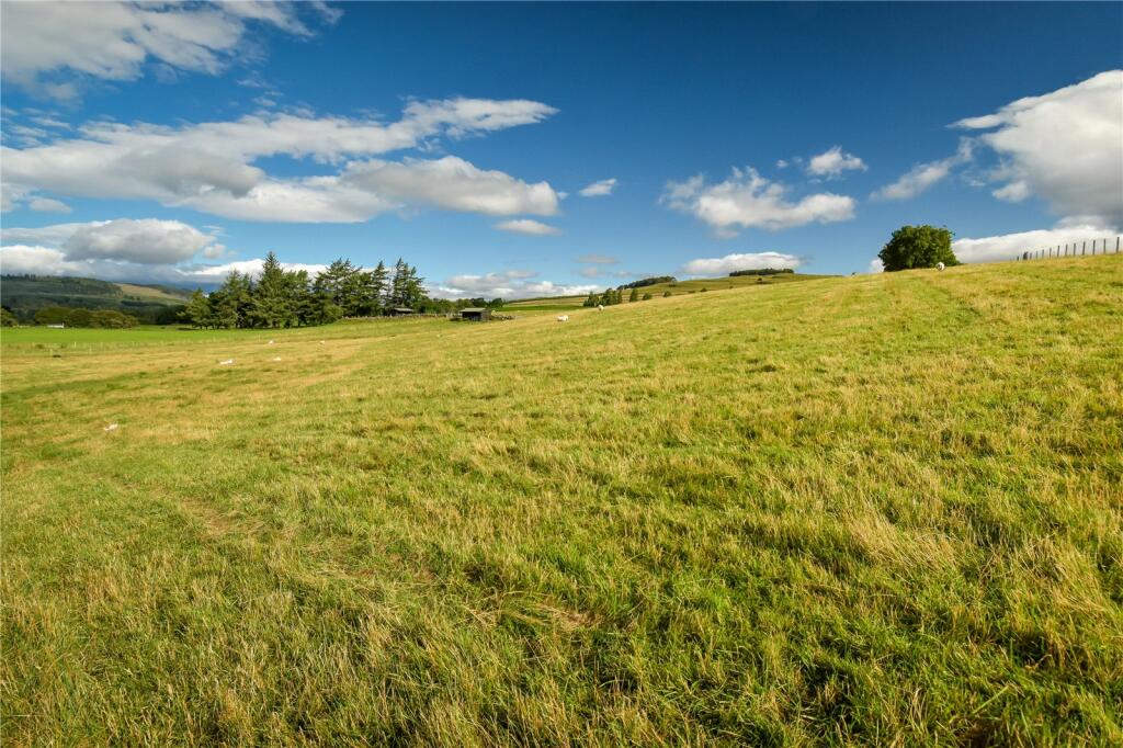 Land