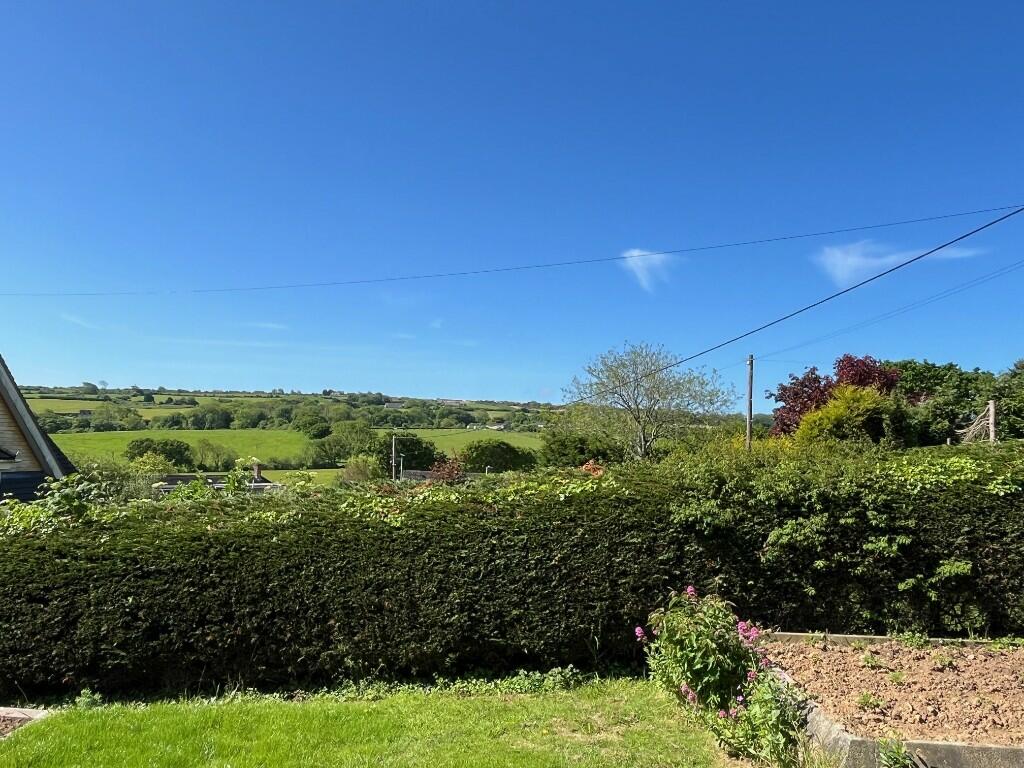 View from garden