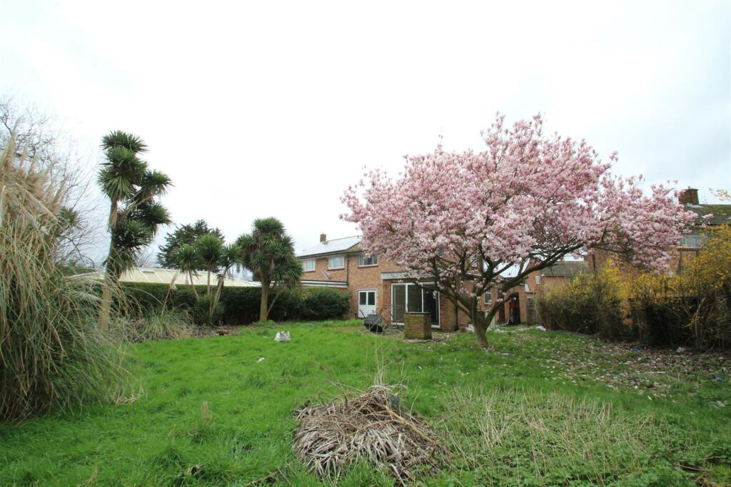 garden 3.JPG