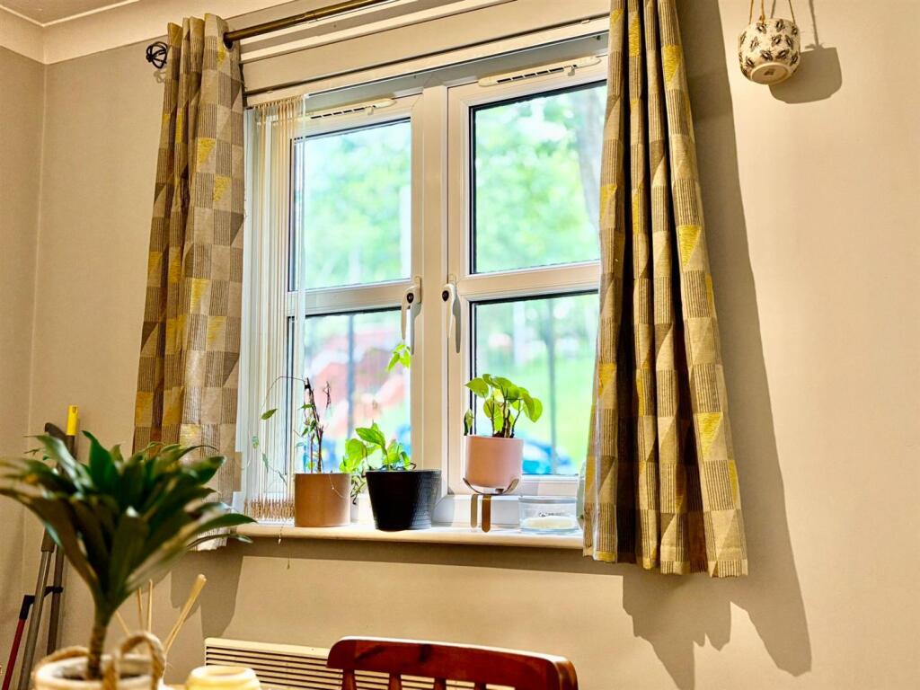 PHOTO-2025-06-10-11-21-34 2.jpg