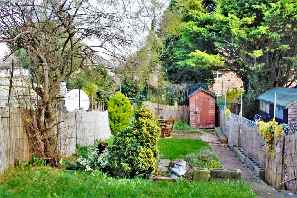 Back Garden