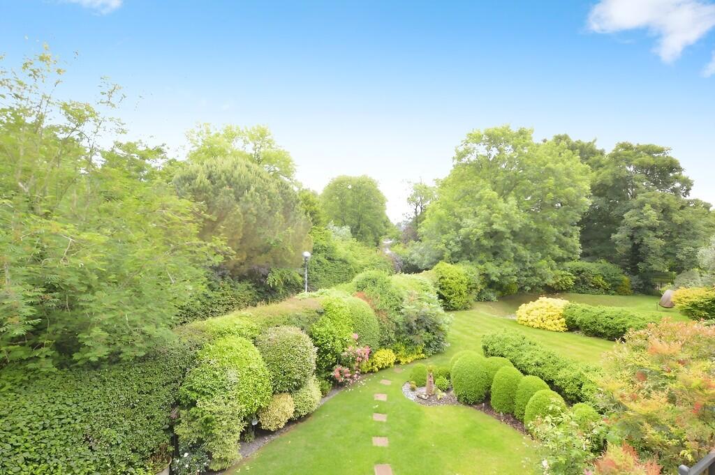 cc018b62-IMG_1779...