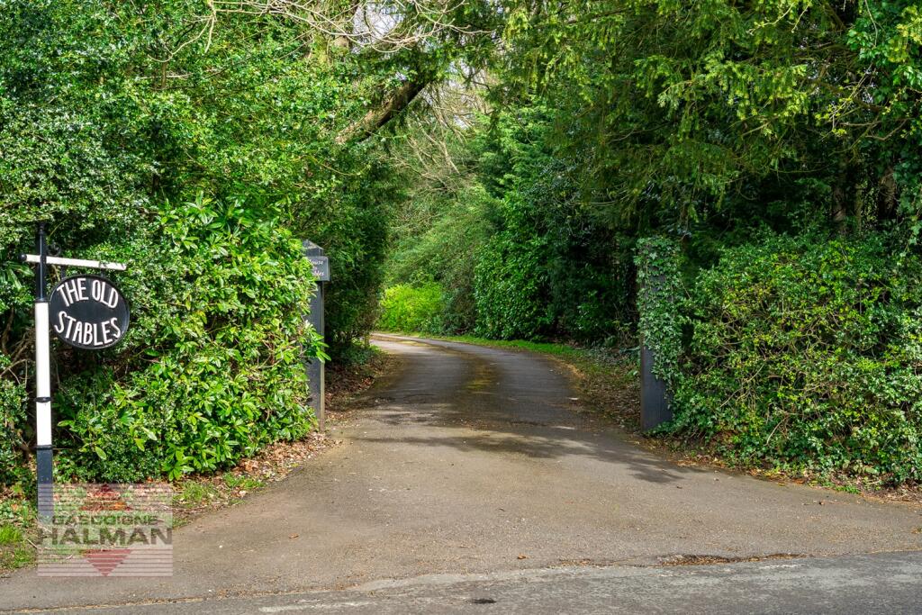 Driveway
