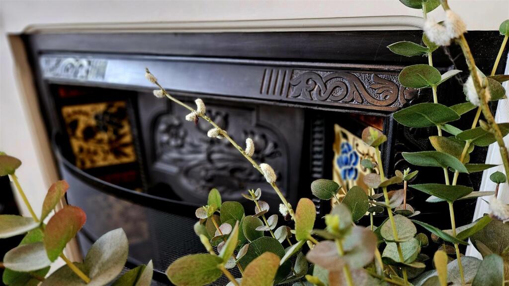 20250214_110514 (Large).jpg