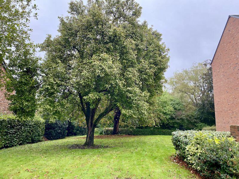 View to the front