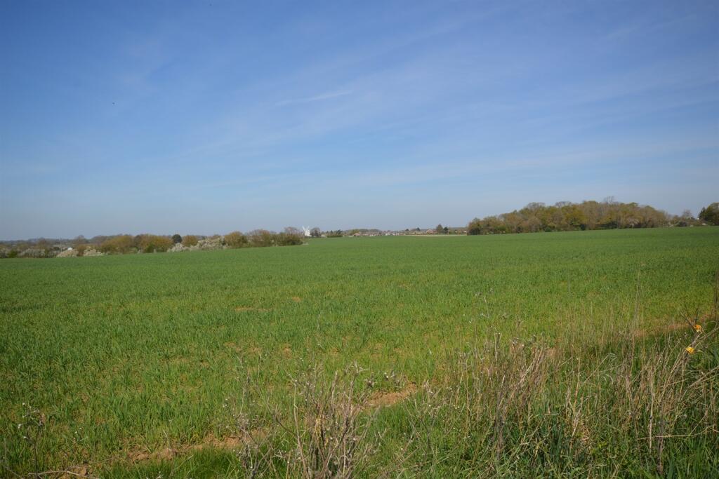 Countryside Views