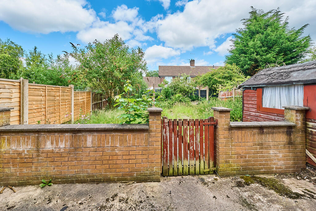 P1462828 T202506021842.jpg