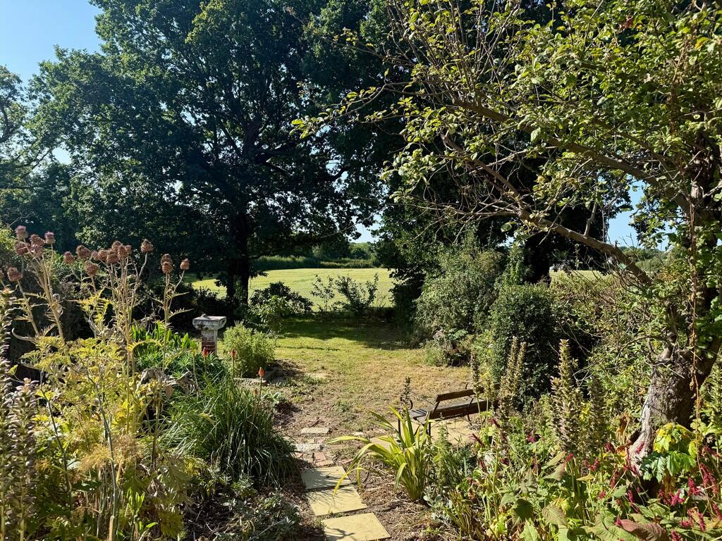 IMG-20250815-WA00...