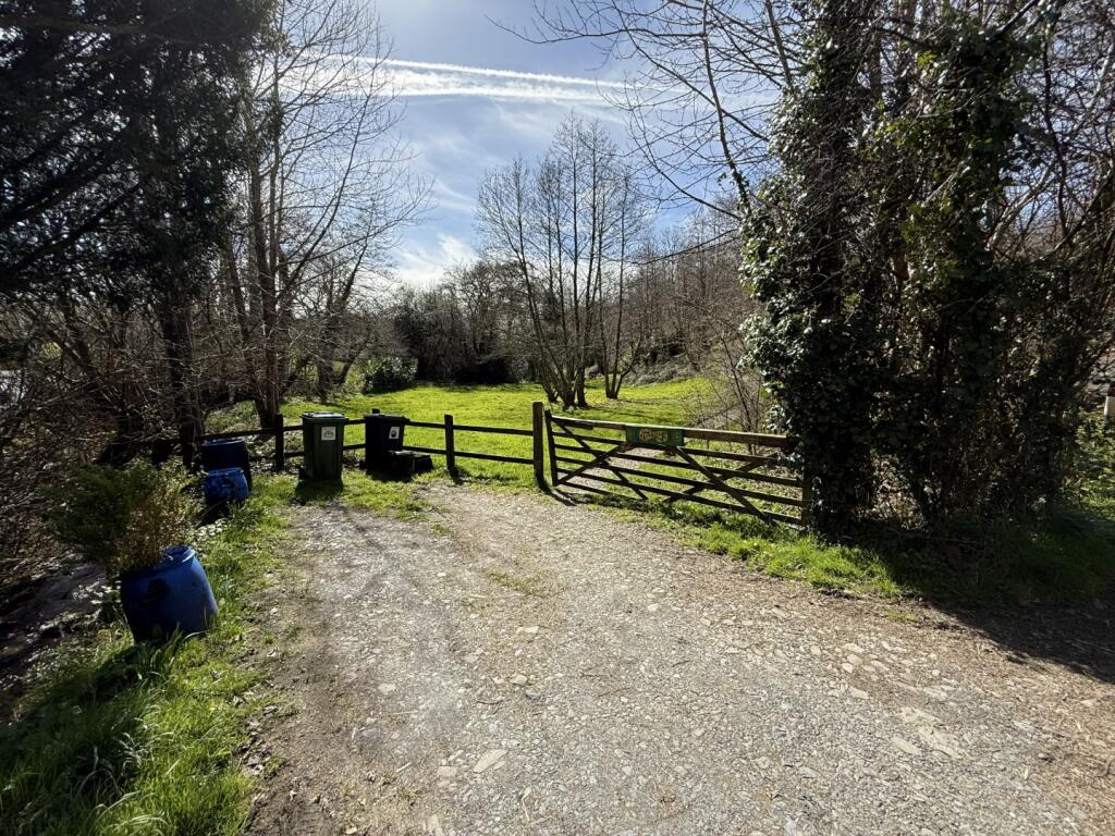 IMG 5428  Large  T202505021202.jpeg