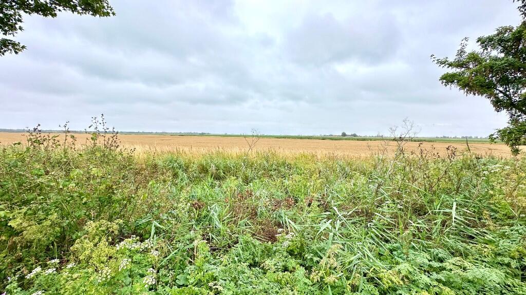 Countryside Views