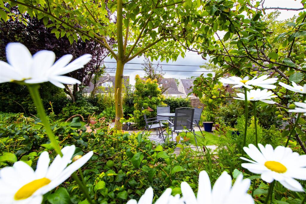 rear.garden.4.jpg