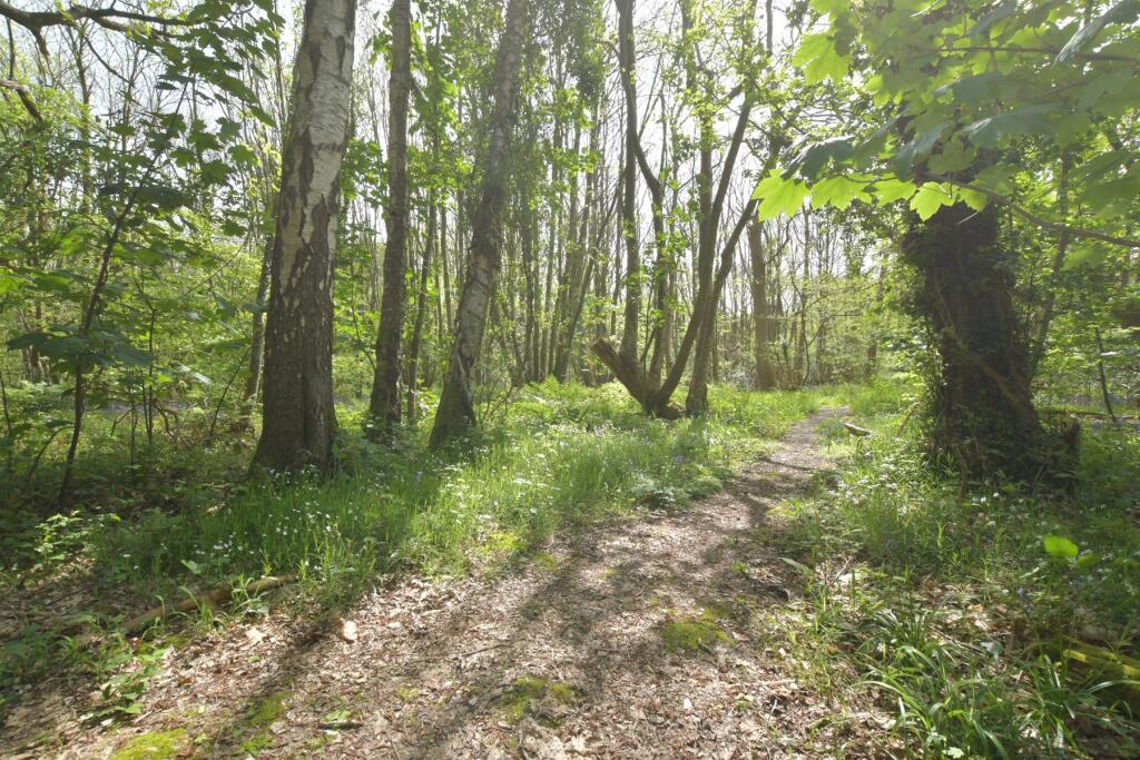 Surrounding Area