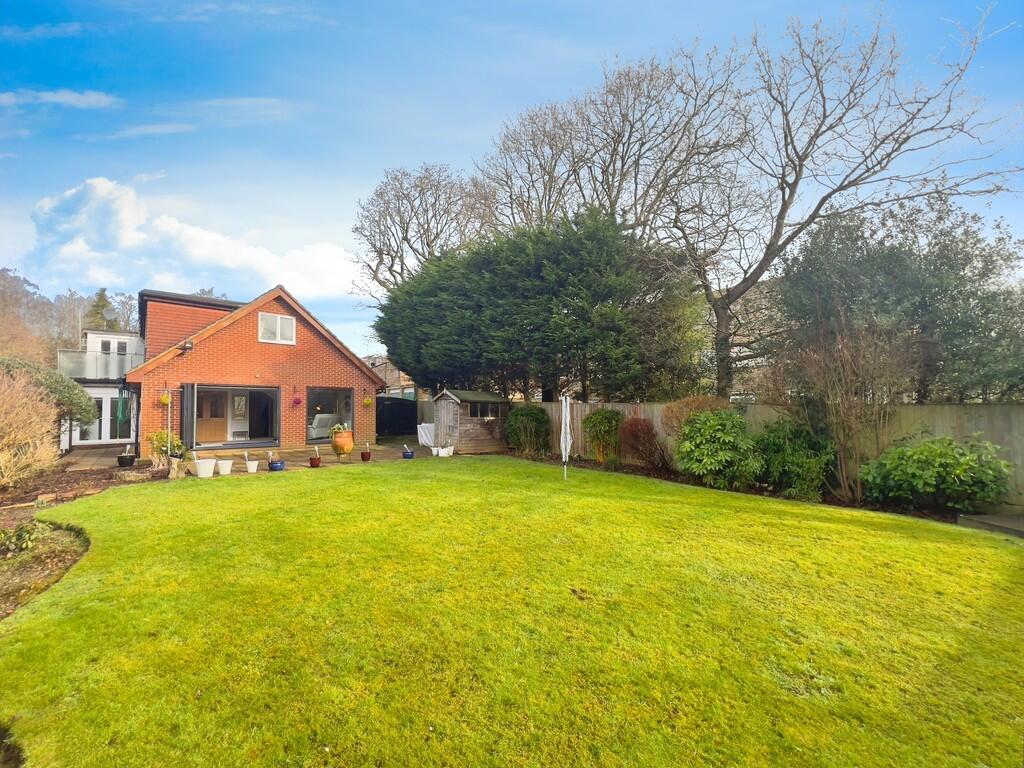 Back Garden