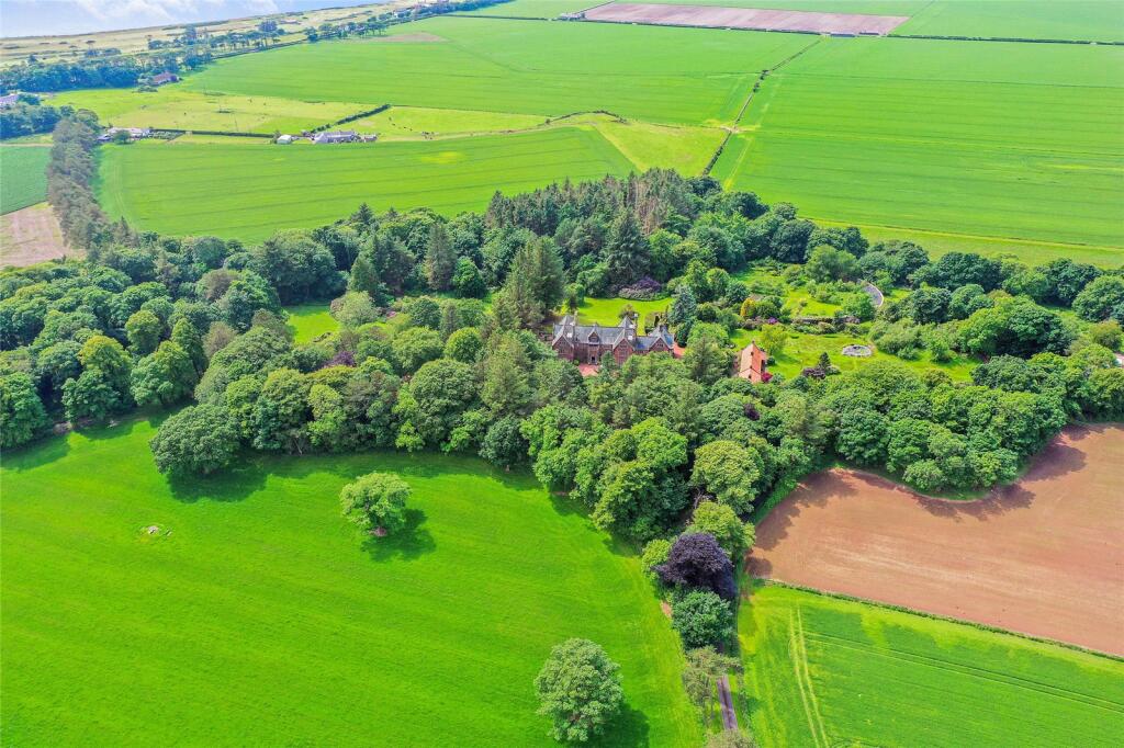 Aerial Shot