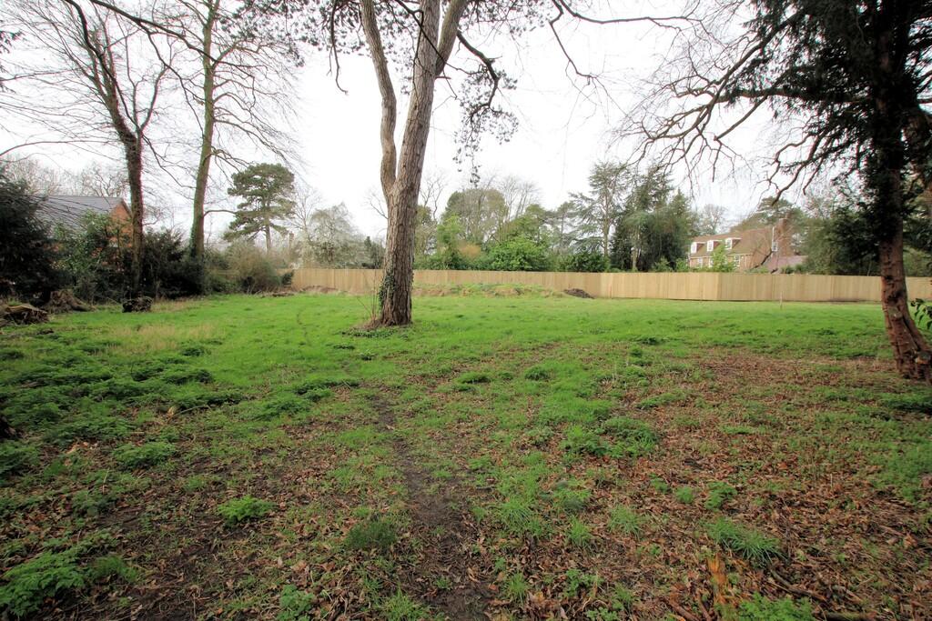Plot 3