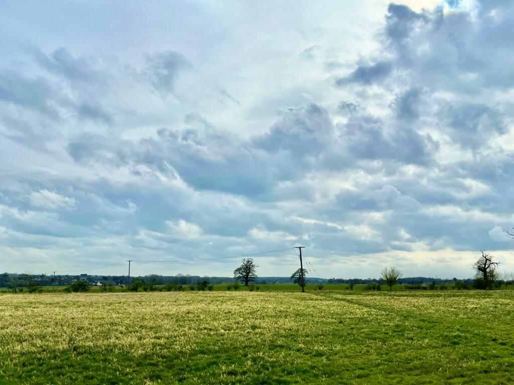 View to south