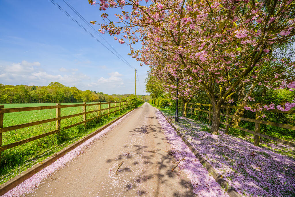 J Driveway approach.jpg