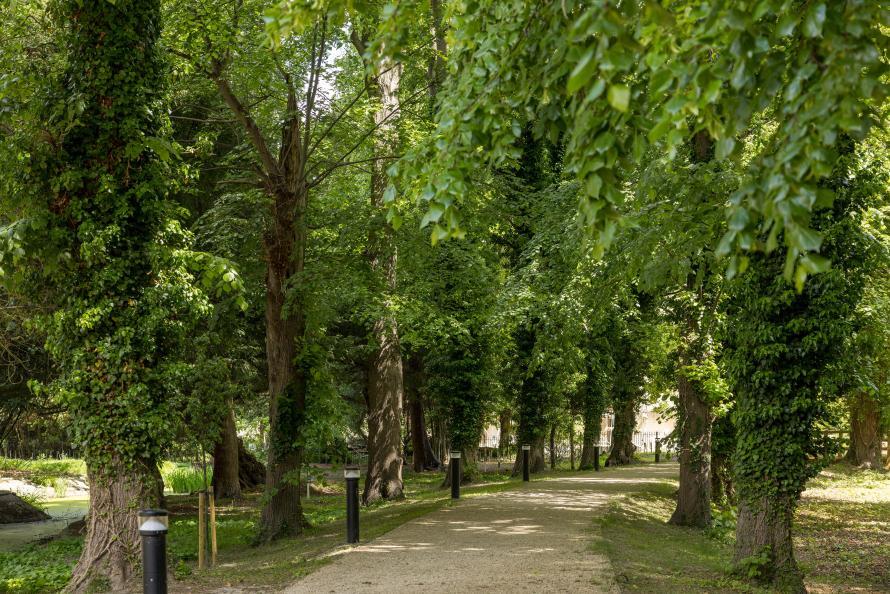 Farehurst Park - Pumping House Pond