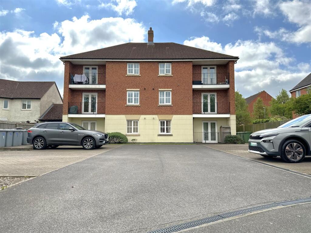 Complex Rear Aspect 082