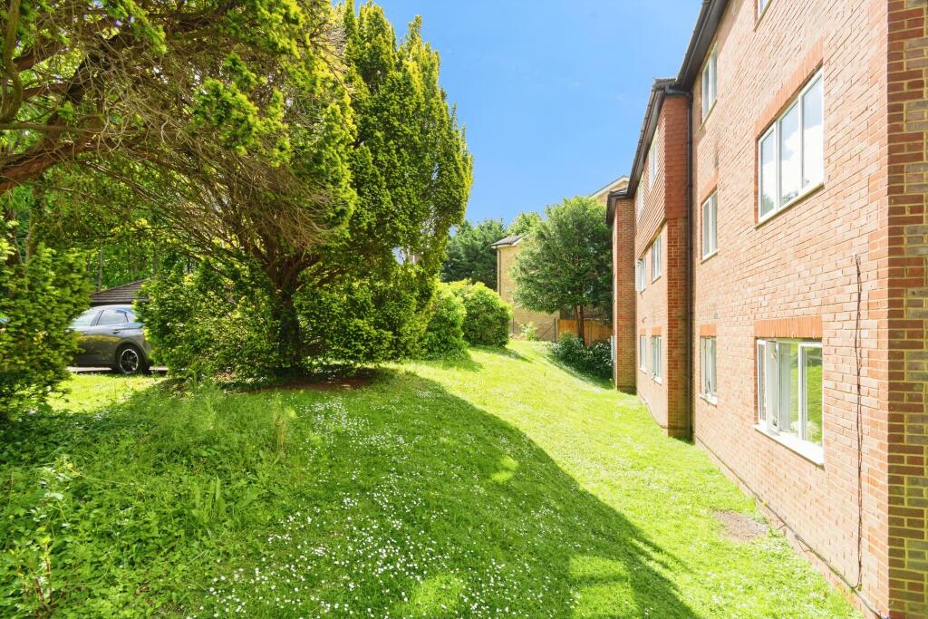The Property