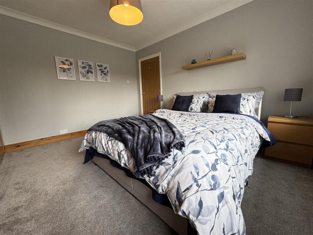 IMG_6343 (Large).JPG