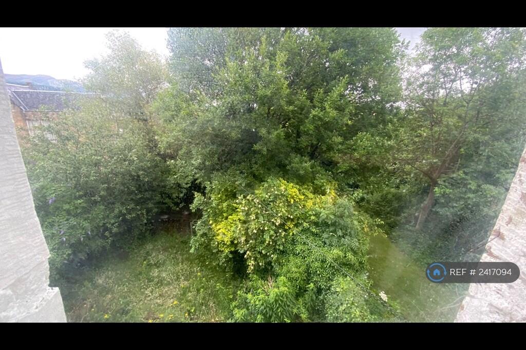 Garden From Kitchen Window 