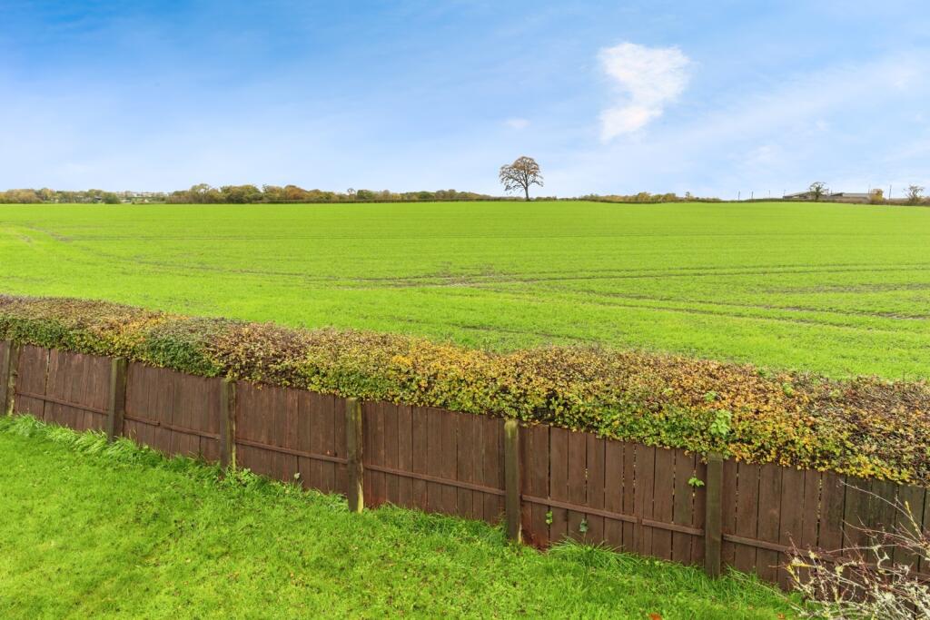 Field Views
