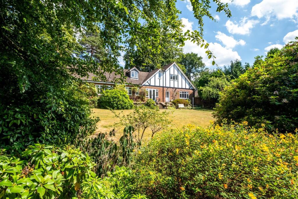 Full size-37 (Large).jpg