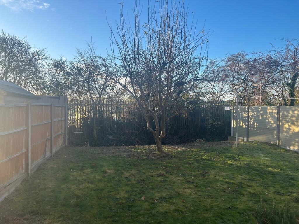 garden shot edith...