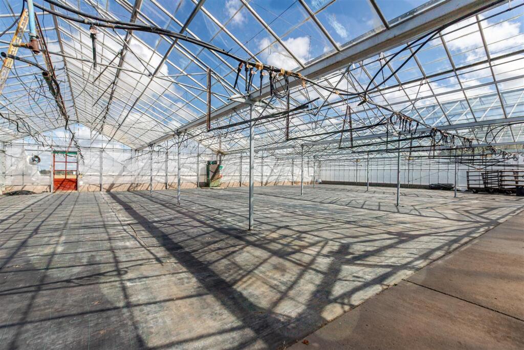 Hanging Basket Glasshouse