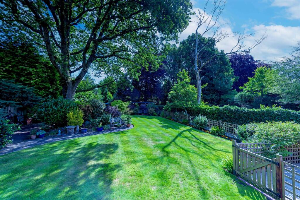 Rear Garden 1 0P8A5588-20250616-DxO_DeepPRIME XD2s