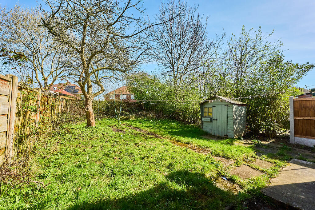 P1427819 T202503271806.jpg