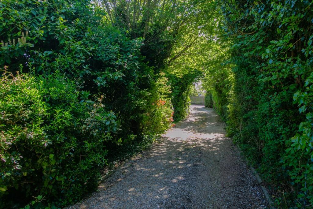 Driveway