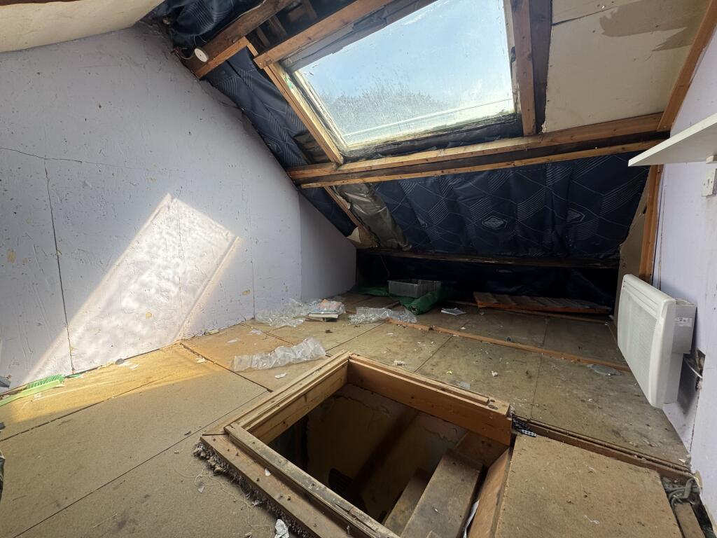 IMG 1159 T202508141141.jpeg