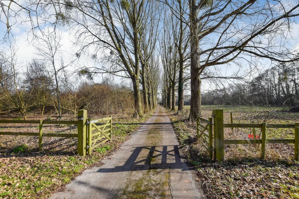 Driveway