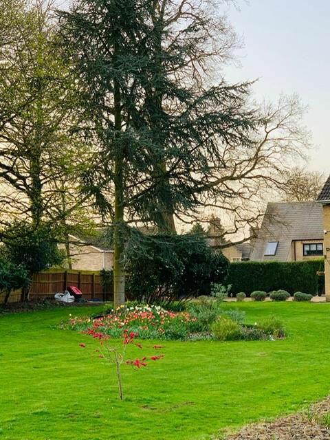 Gardens C