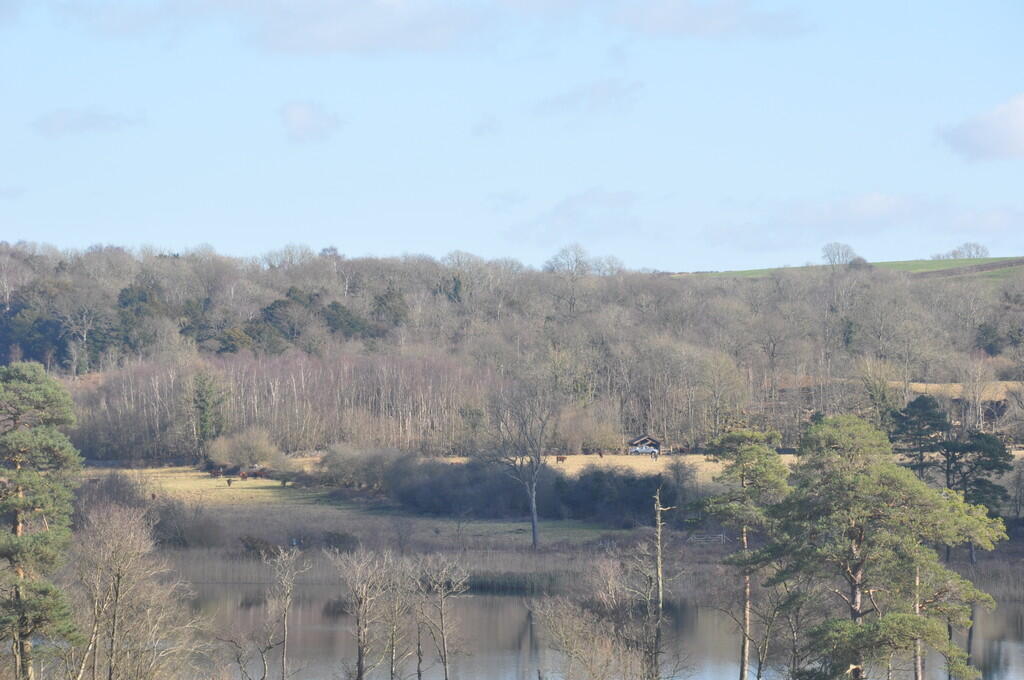 Views of Hawswate...