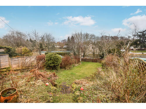 garden1
