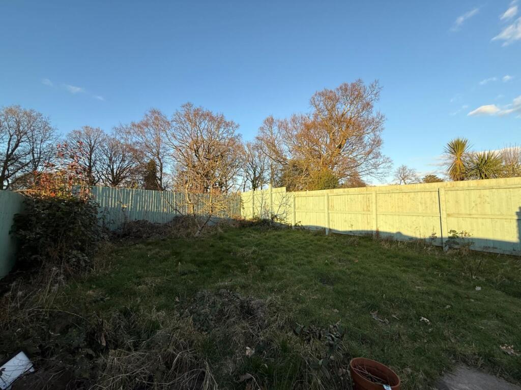 PHOTO-2025-03-01-10-45-24 2