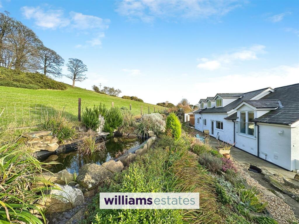 Rear Garden Area