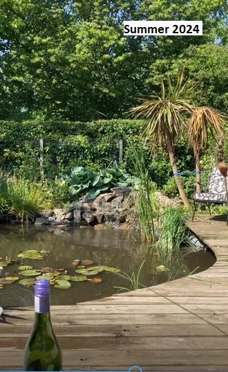 NEW V Garden 2