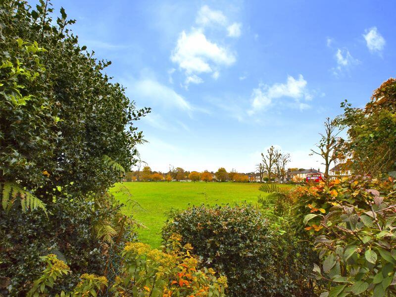 VIEW FROM PATIO