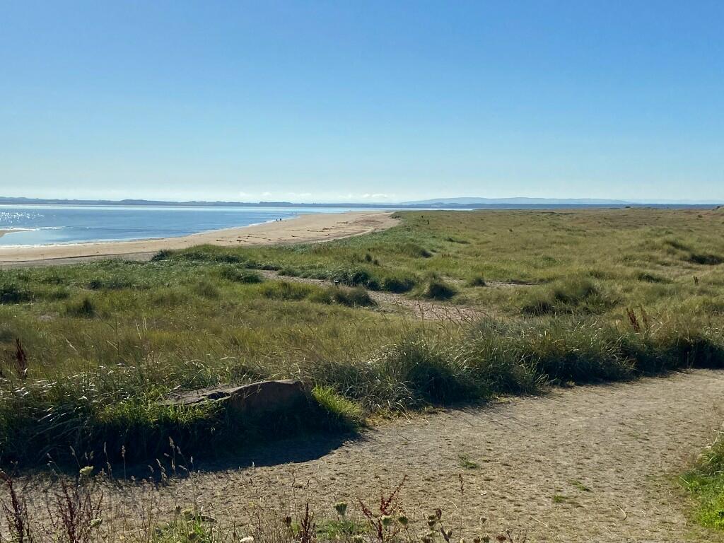 Nearby Beach