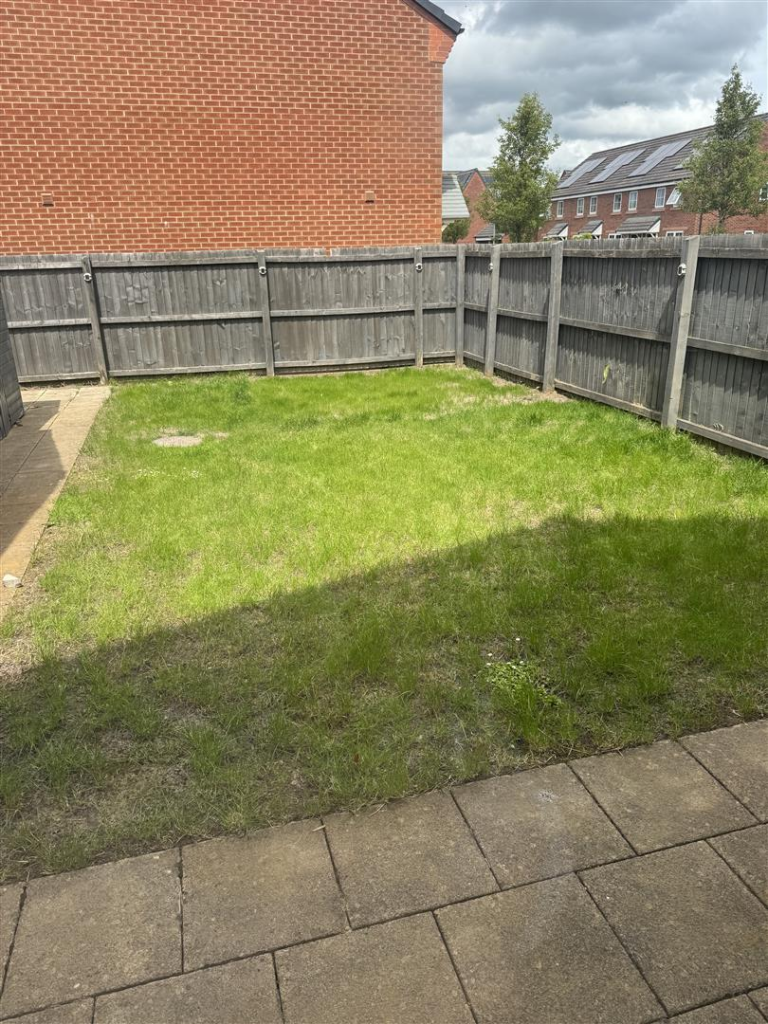 back garden.png