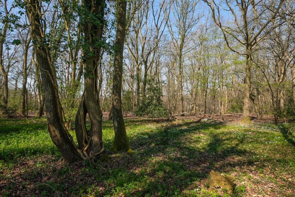 Pean Hill, Whitstable